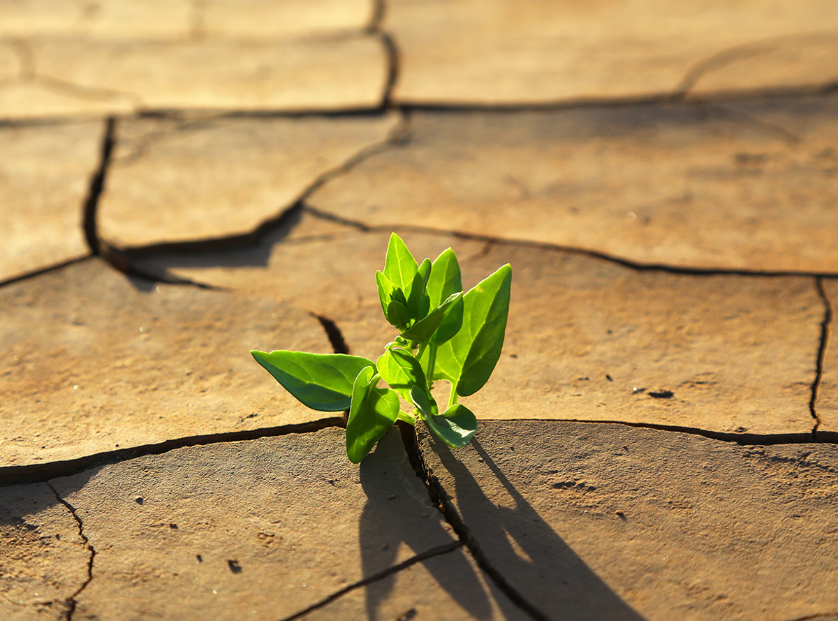 Magnetismo elettropermanente una scelta ecologica